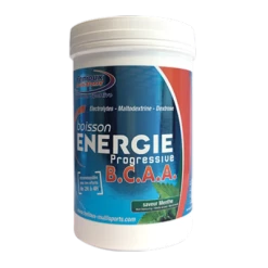 Boisson FENIOUX Energie Progressive BCAA Menthe 600 Gr